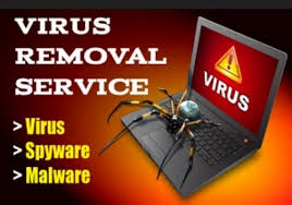 Virus Removal